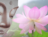 Tướng mạo xinh đẹp là do đâu?